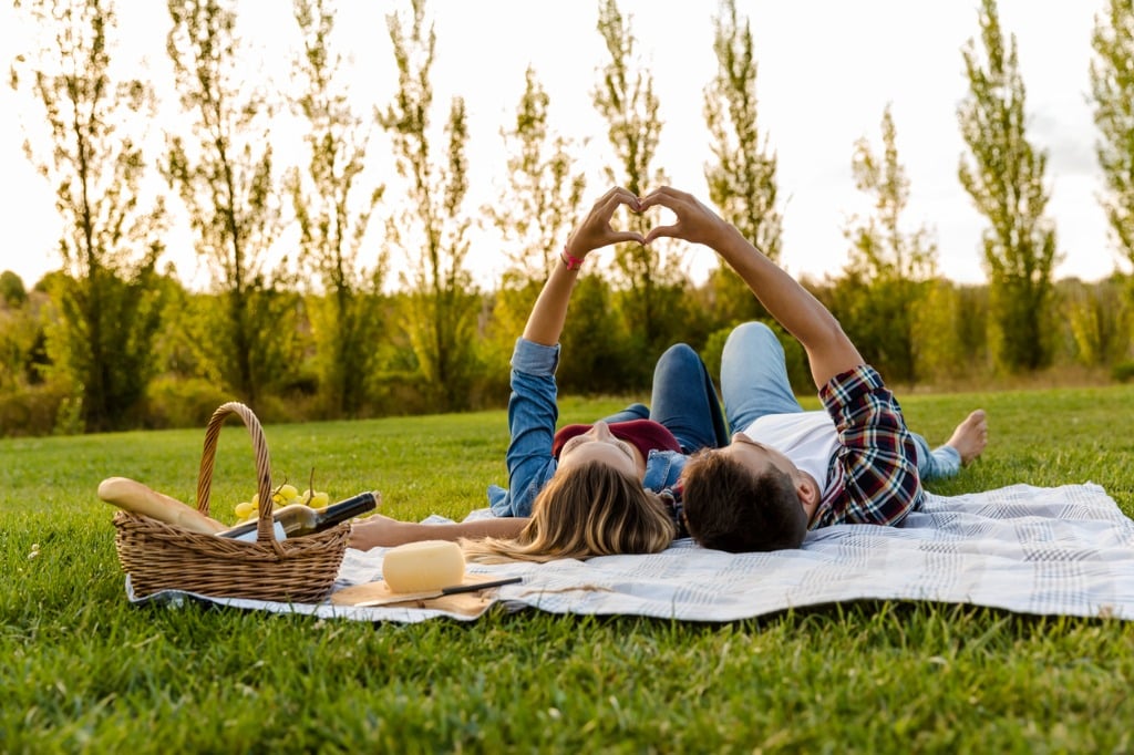 couples-picnic