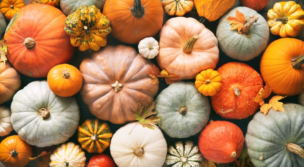 pumpkins