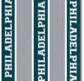 Philadelphia Eagles Team Stripe Wraps - Philadelphia Eagles Middle Stripe Cornhole Wraps - - Cornhole Worldwide